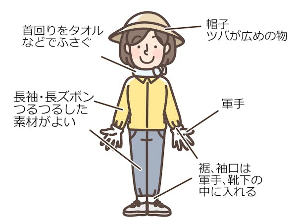 便利な道具で草取りをもっと楽に 安全に草取りするコツも紹介 ミツモア 便利な道具で草取りをもっと楽に 安全に草取りするコツも紹介 ミツモア
