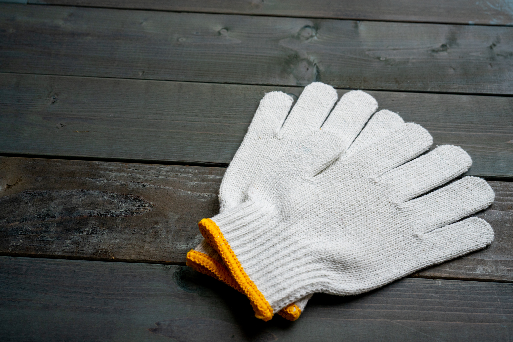 網戸掃除は外さないでok 簡単3ステップでピカピカに ミツモア