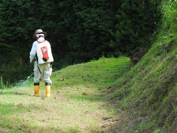 除草剤の効果的な使い方は 散布時期から注意点まで徹底解説 ミツモア 除草剤の効果的な使い方は 散布時期から注意点まで徹底解説 ミツモア