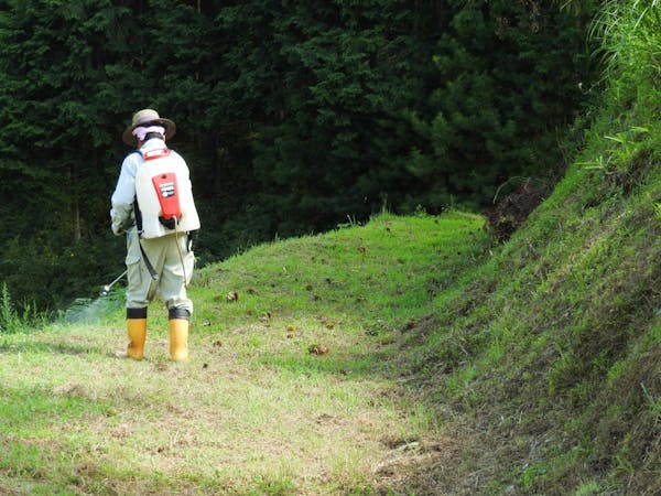 除草剤の効果的な使い方は 散布時期から注意点まで徹底解説 ミツモア