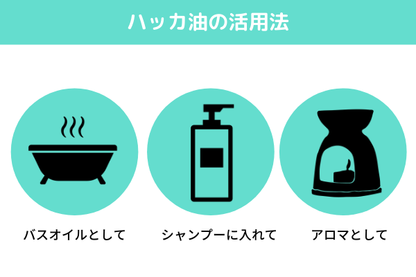 ハッカ油の14の活用法を紹介 消臭 除菌効果で暮らしをきれいに ミツモア