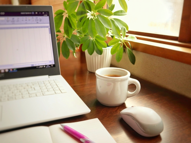 カポック シェフレラ の剪定方法 切る位置や最適な時期は 育て方 手入れ方法も徹底解説 ミツモア