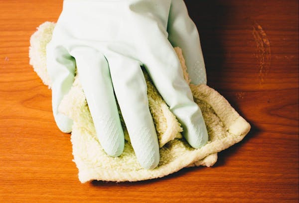 1匹も家に入れない害虫対策 家で虫を見たくない人におすすめの予防法 対処法を解説 ミツモア 1匹も家に入れない害虫対策 家で虫を見たくない人におすすめの予防法 対処法を解説 ミツモア