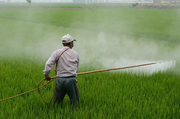 除草剤の効果的な使い方は 散布時期から注意点まで徹底解説 ミツモア 除草剤の効果的な使い方は 散布時期から注意点まで徹底解説 ミツモア