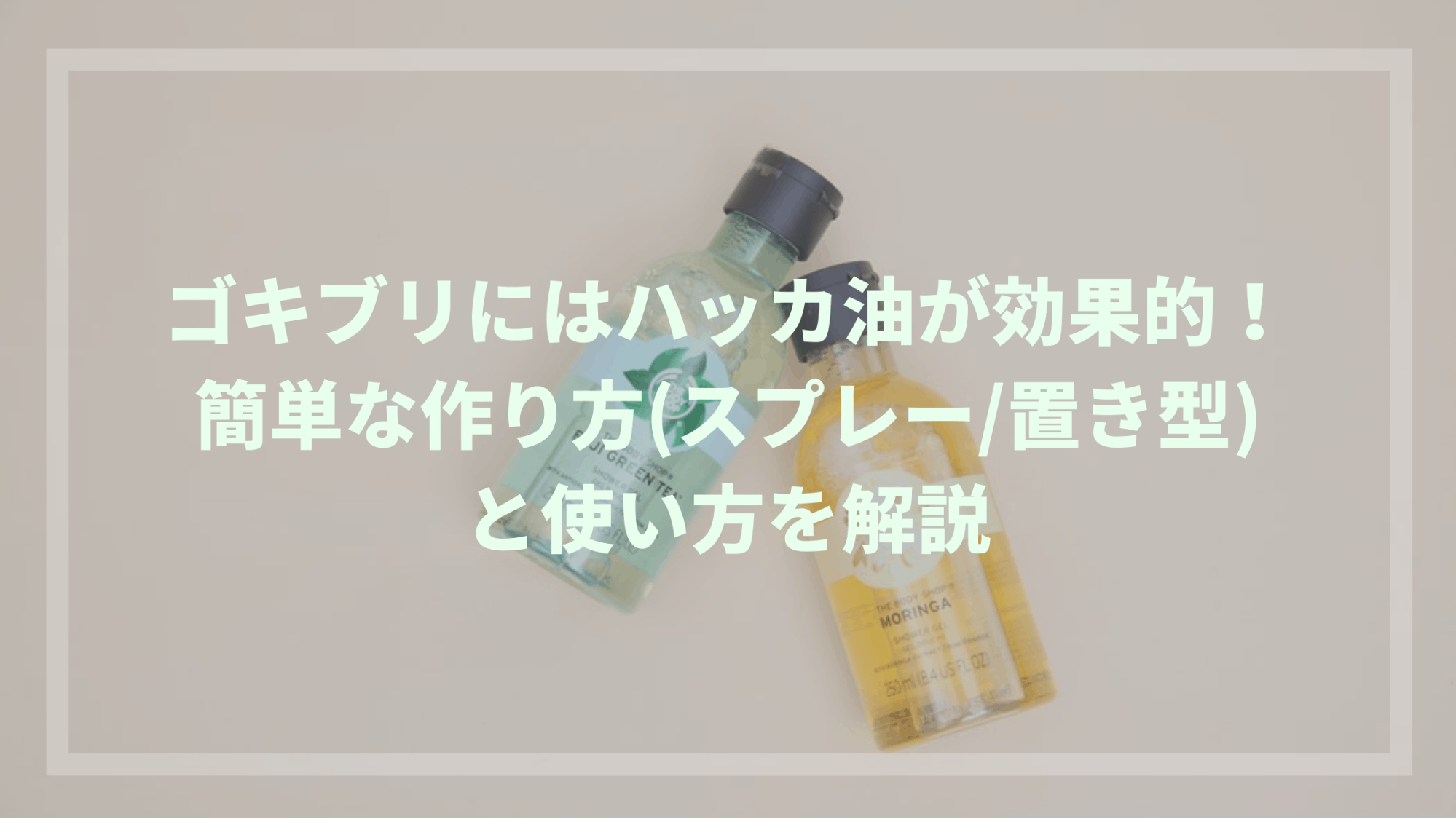 ゴキブリにはハッカ油が効果的！簡単な作り方(スプレー/置き型)と使い方を解説