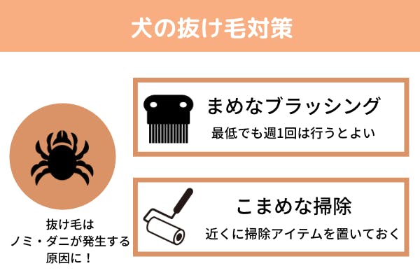 犬の抜け毛対策の図解