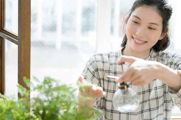 観葉植物に霧吹きをする女性