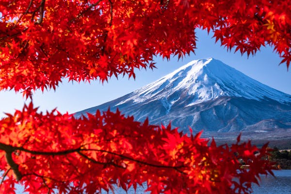 富士山と紅葉