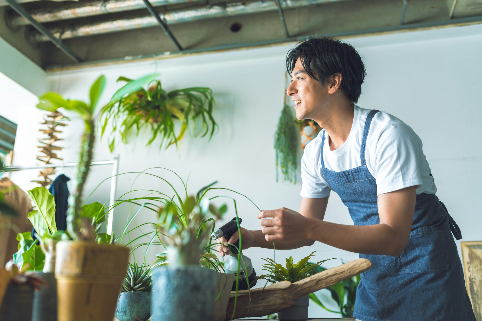 観葉植物に虫がわかないようにする対策は？育てる環境にも注意