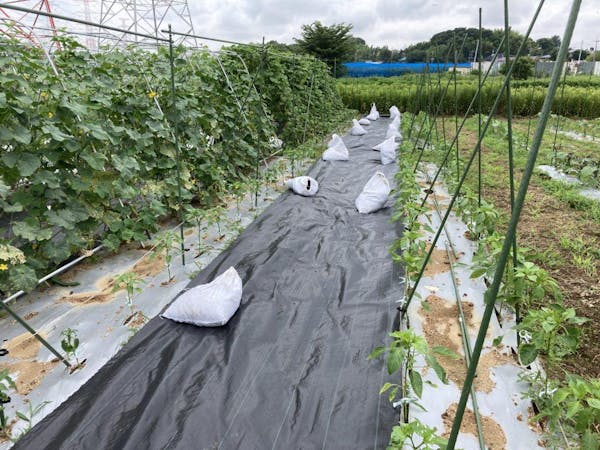 除草シートの選び方とおすすめ商品は 性能と使い方別に紹介 ミツモア 除草シートの選び方とおすすめ商品は 性能と使い方別に紹介 ミツモア