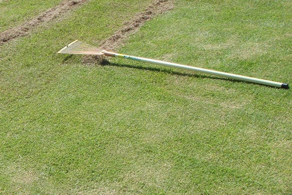 芝生のサッチングってどうやるの 必要な道具や手段について紹介 ミツモア 芝生のサッチングってどうやるの 必要な道具や手段について紹介 ミツモア