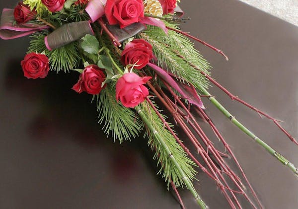 サンゴミズキってなに 植物の特徴や正しい育て方まで紹介 ミツモア サンゴミズキってなに 植物の特徴や正しい育て方まで紹介 ミツモア