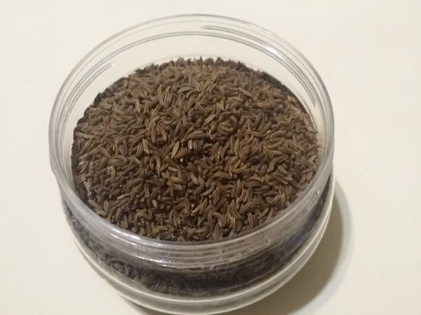 ゴキブリ対策にハーブが効果的 ゴキブリが嫌うにおい おすすめハーブを紹介 ミツモア ゴキブリ対策にハーブが効果的 ゴキブリが嫌うにおい おすすめハーブを紹介 ミツモア
