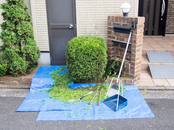 失敗しない刈り込みのコツ 剪定との違いや正しい手順を解説 ミツモア 失敗しない刈り込みのコツ 剪定との違いや正しい手順を解説 ミツモア
