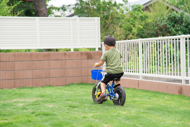 姫高麗芝ってどんな芝 高麗芝との違いや基本の手入れ方法も解説