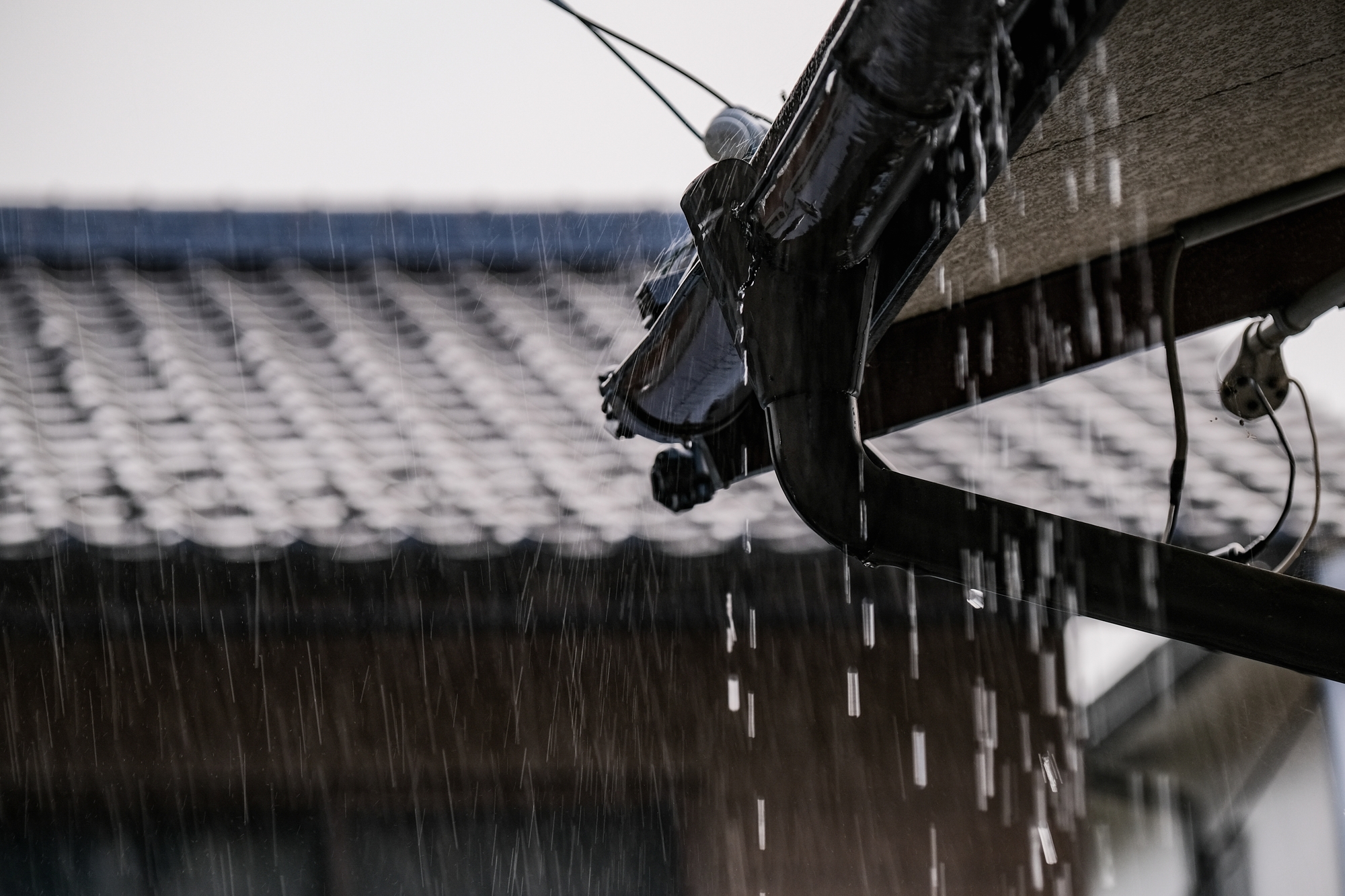 台風対策に雨戸が必要な理由は？具体的な対策方法と、雨戸がないときの応急処置