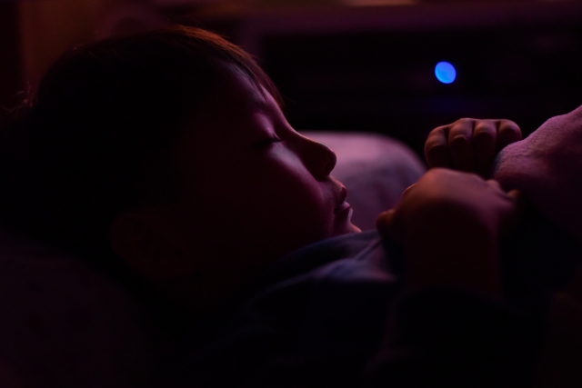 ゴキブリは人を噛むことがある 理由や噛む力 噛まれたらどうなるかを解説 ミツモア