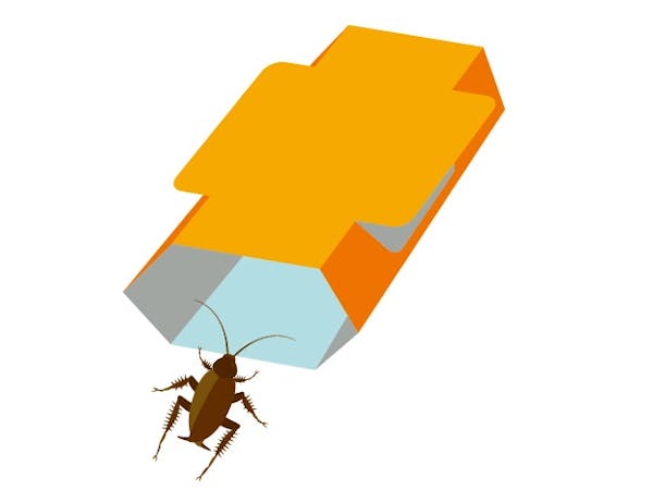 家中のゴキブリを確実に駆除 苦手な人でも徹底的にできる退治方法 大量発生した時の対処法を紹介 ミツモア