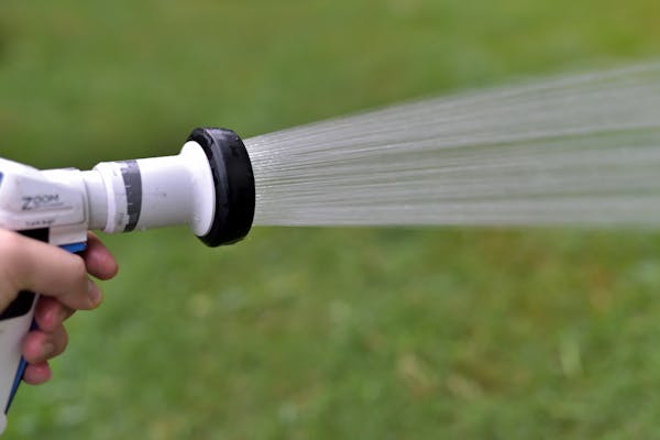 芝生の水やりは 時期 時間 水分量 の3つがポイント 適切な頻度で美しい芝を ミツモア 芝生の水やりは 時期 時間 水分量 の3つがポイント 適切な頻度で美しい芝を ミツモア