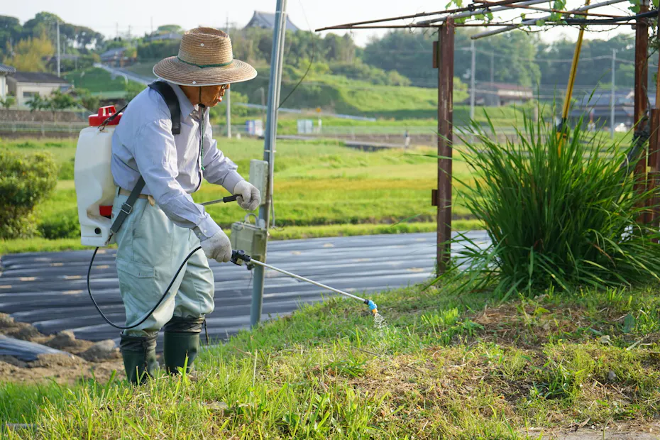 除草剤をまくのに効果的な時期はいつ 種類の違いと注意点