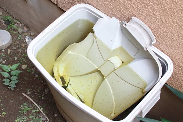 網戸のおすすめ虫除けグッズと 正しい網戸の使い方 隙間を無くして虫除けスプレーで最強対策 ミツモア 網戸のおすすめ虫除けグッズと 正しい網戸の使い方 隙間を無くして虫除けスプレーで最強対策 ミツモア