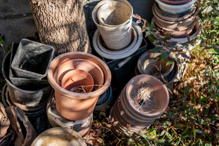 植木鉢の適切な処分方法 低コストで処分するポイントも解説