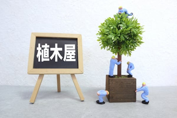 庭木の剪定 手入れ方法 最適な時期や頻度 目的に応じた切り方のコツを解説 ミツモア 庭木の剪定 手入れ方法 最適な時期や頻度 目的に応じた切り方のコツを解説 ミツモア