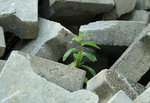 コンクリートブロックの正しい処分方法4つ！無料で捨てる方法はある？