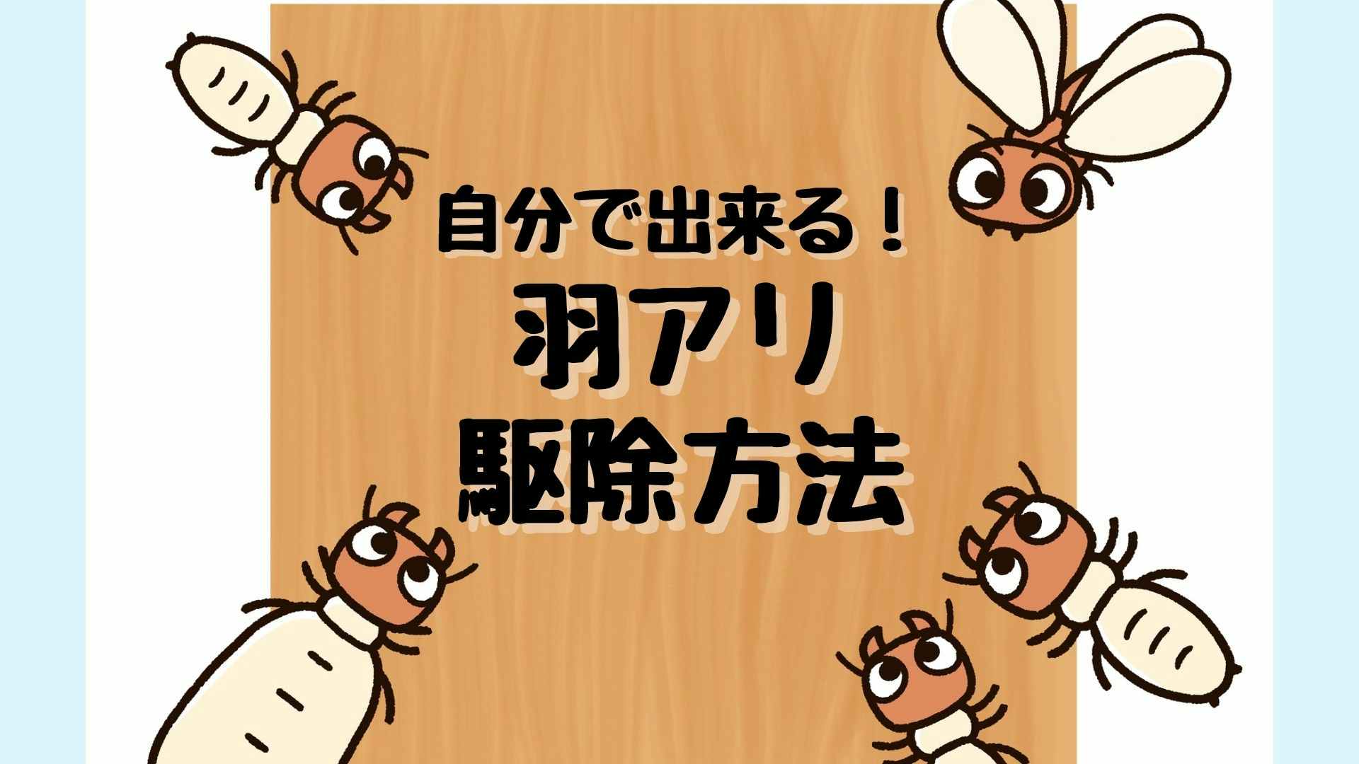 自分でできる羽アリの駆除方法 見つけたらすぐやるべき対策 ただし応急処置です 自分でできる羽アリの駆除方法 見つけたらすぐやるべき対策 ただし応急処置です