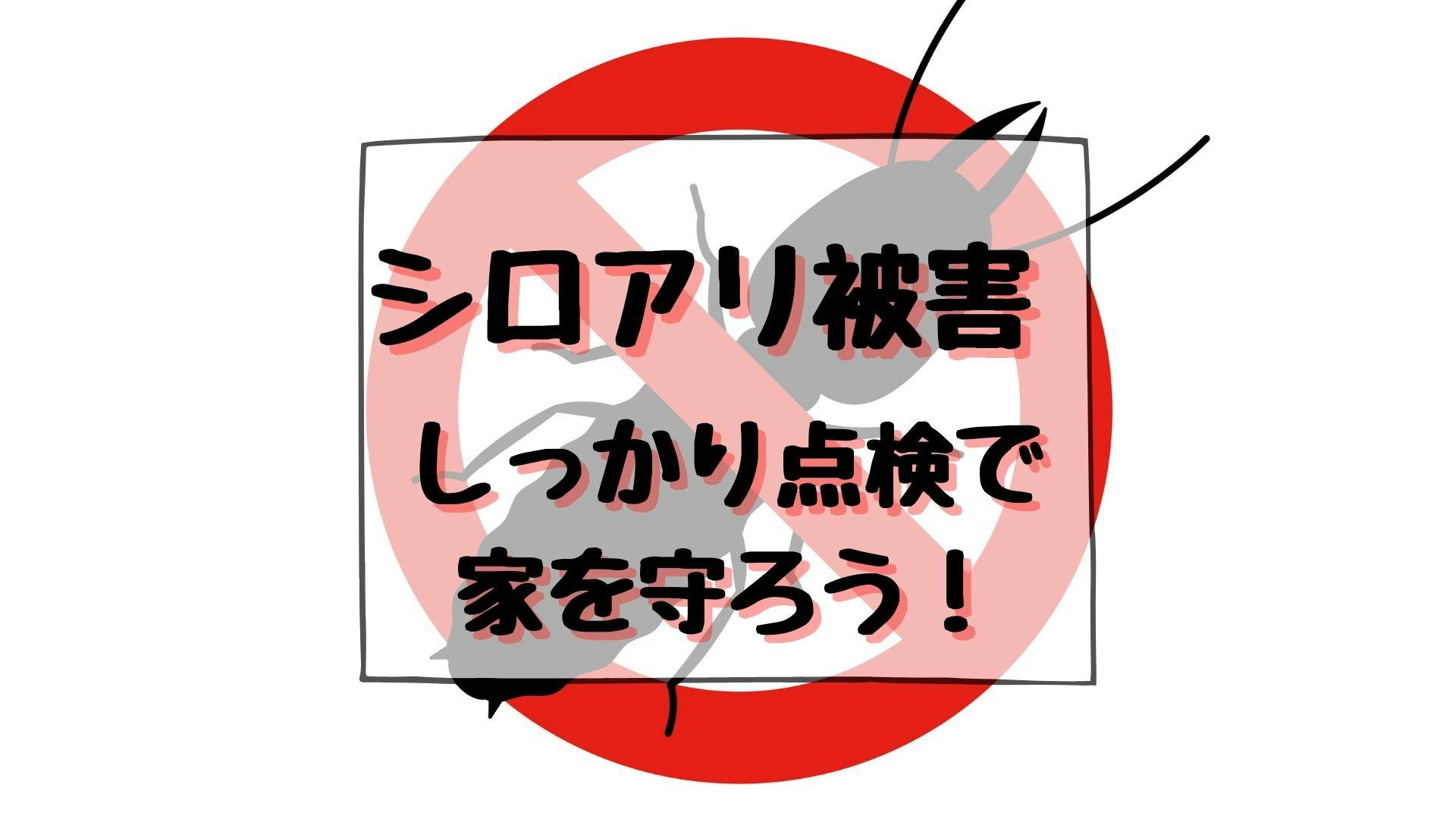 シロアリ被害にあいやすい場所と症状の特徴を紹介 しっかり点検で 早めの駆除 防除を ミツモア シロアリ被害にあいやすい場所と症状の特徴を紹介 しっかり点検で 早めの駆除 防除を ミツモア