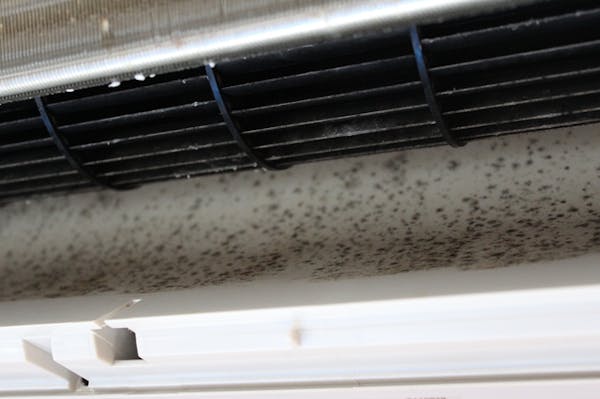 エアコンのカビがもたらす3つの悪影響 掃除方法や防止策も紹介 ミツモア エアコンのカビがもたらす3つの悪影響 掃除方法や防止策も紹介 ミツモア