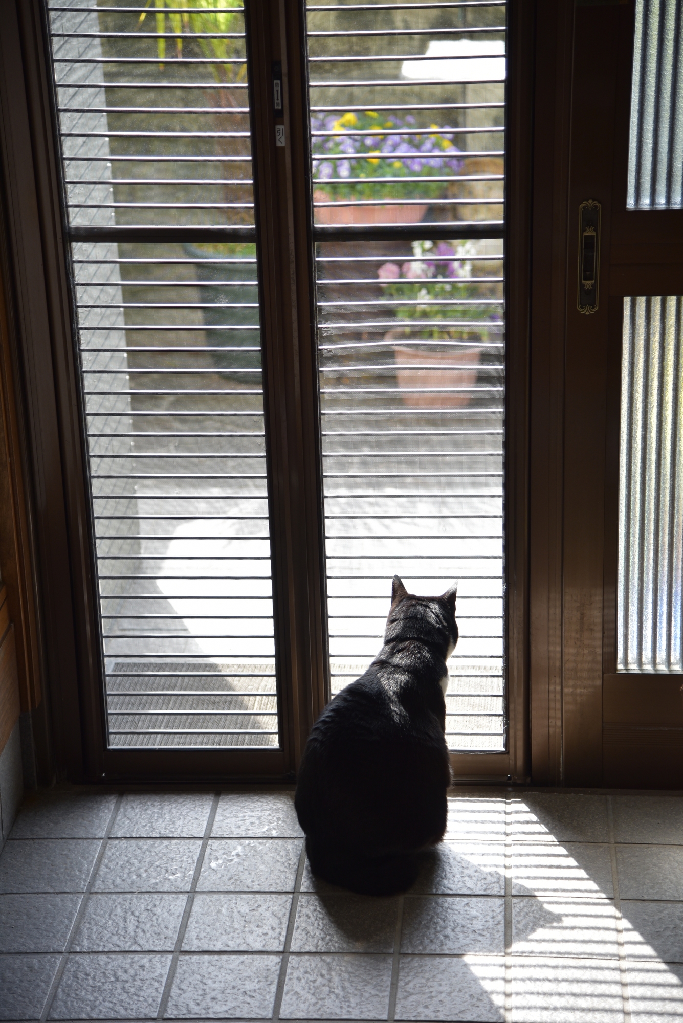 網戸にはどんな種類がある？形状・素材・機能の3つに着目して、選ぶ 