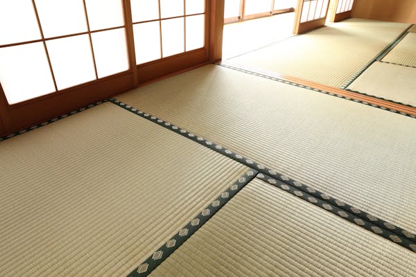 畳のダニ発生原因と対策方法 駆除したあとは掃除 乾燥で徹底予防 ミツモア 畳のダニ発生原因と対策方法 駆除したあとは掃除 乾燥で徹底予防 ミツモア