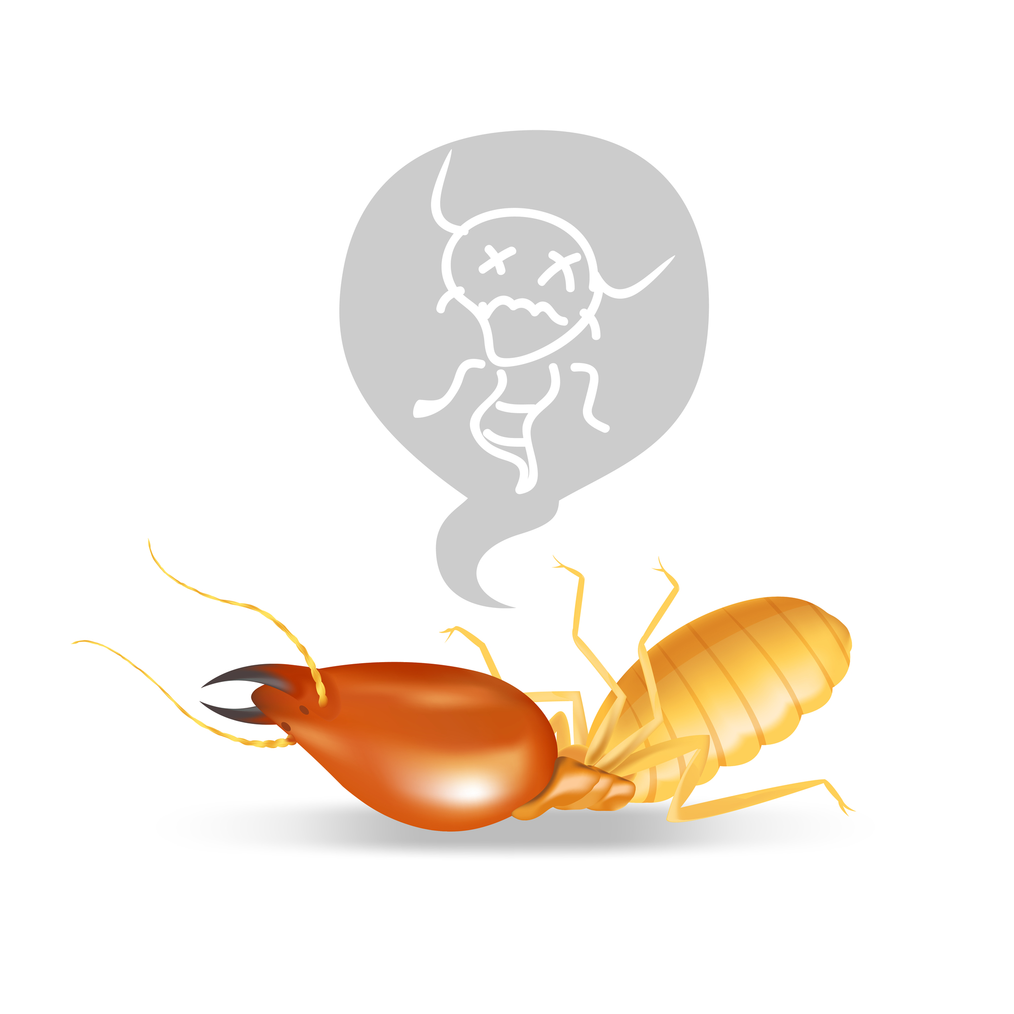 シロアリ駆除の費用相場はいくら 施工法 業者 状況の要因で把握できる ミツモア