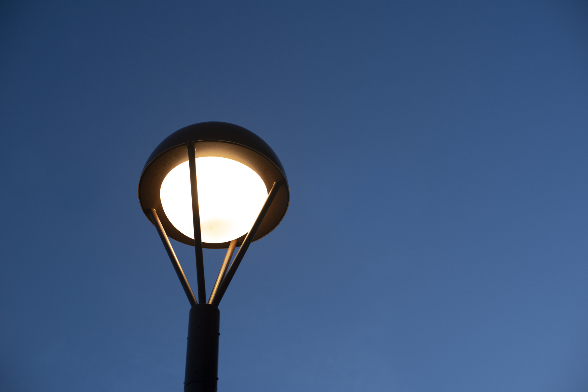 家に羽アリが大量発生する原因と対処法 巣が作られやすい条件を知って予防 駆除しよう ミツモア