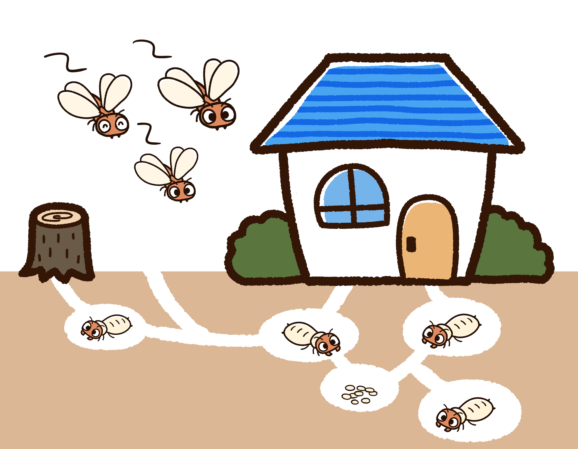 家に羽アリが大量発生する原因と対処法 巣が作られやすい条件を知って予防 駆除しよう ミツモア