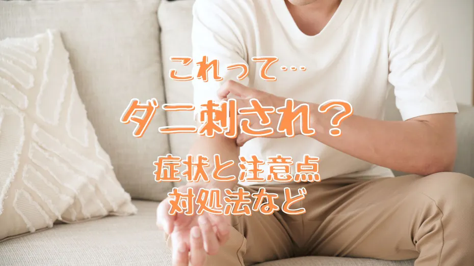 これってダニ刺され 症状の特徴と見分け方 あせも 蚊との違いは