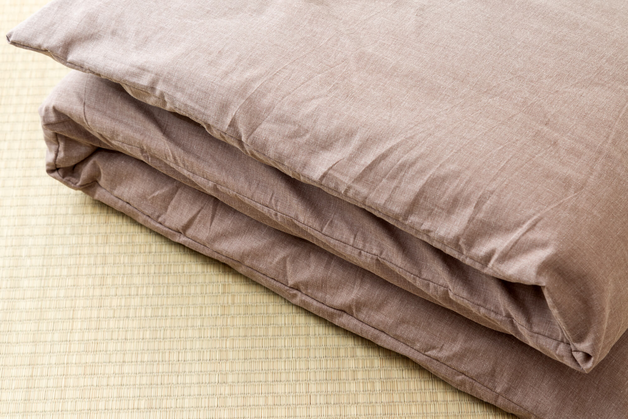 畳に発生する虫の種類と 駆除方法は 繁殖する原因をおさえてしっかり予防しよう ミツモア