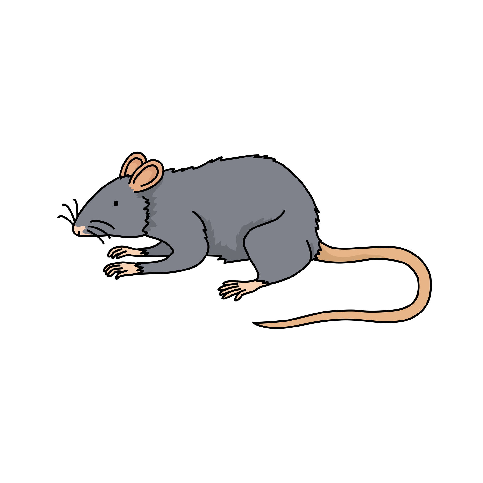 イエダニに刺されたときの症状とは 治療法や駆除方法を紹介 ミツモア