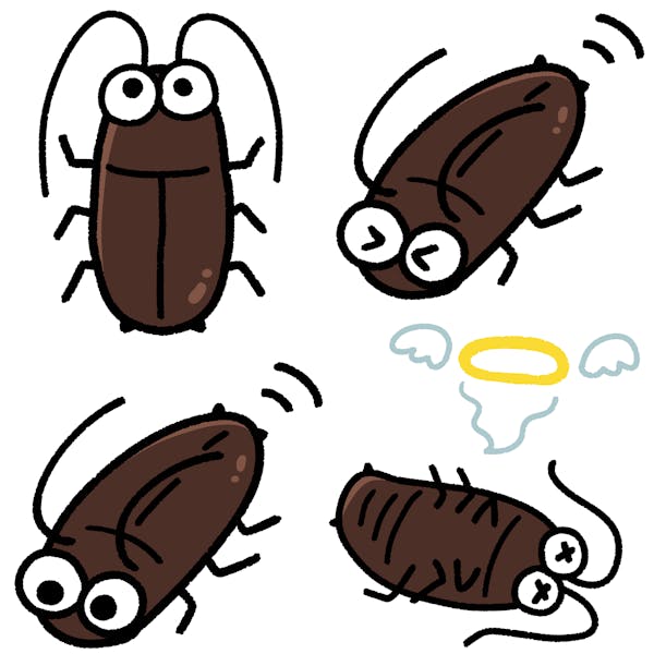 ゴキブリによる被害 家での危険性 害虫と言われる理由とは ミツモア ゴキブリによる被害 家での危険性 害虫と言われる理由とは ミツモア