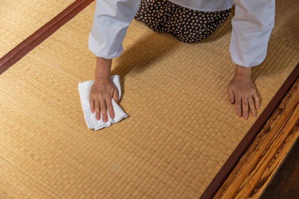 畳のダニ発生原因と対策方法 駆除したあとは掃除 乾燥で徹底予防 ミツモア 畳のダニ発生原因と対策方法 駆除したあとは掃除 乾燥で徹底予防 ミツモア