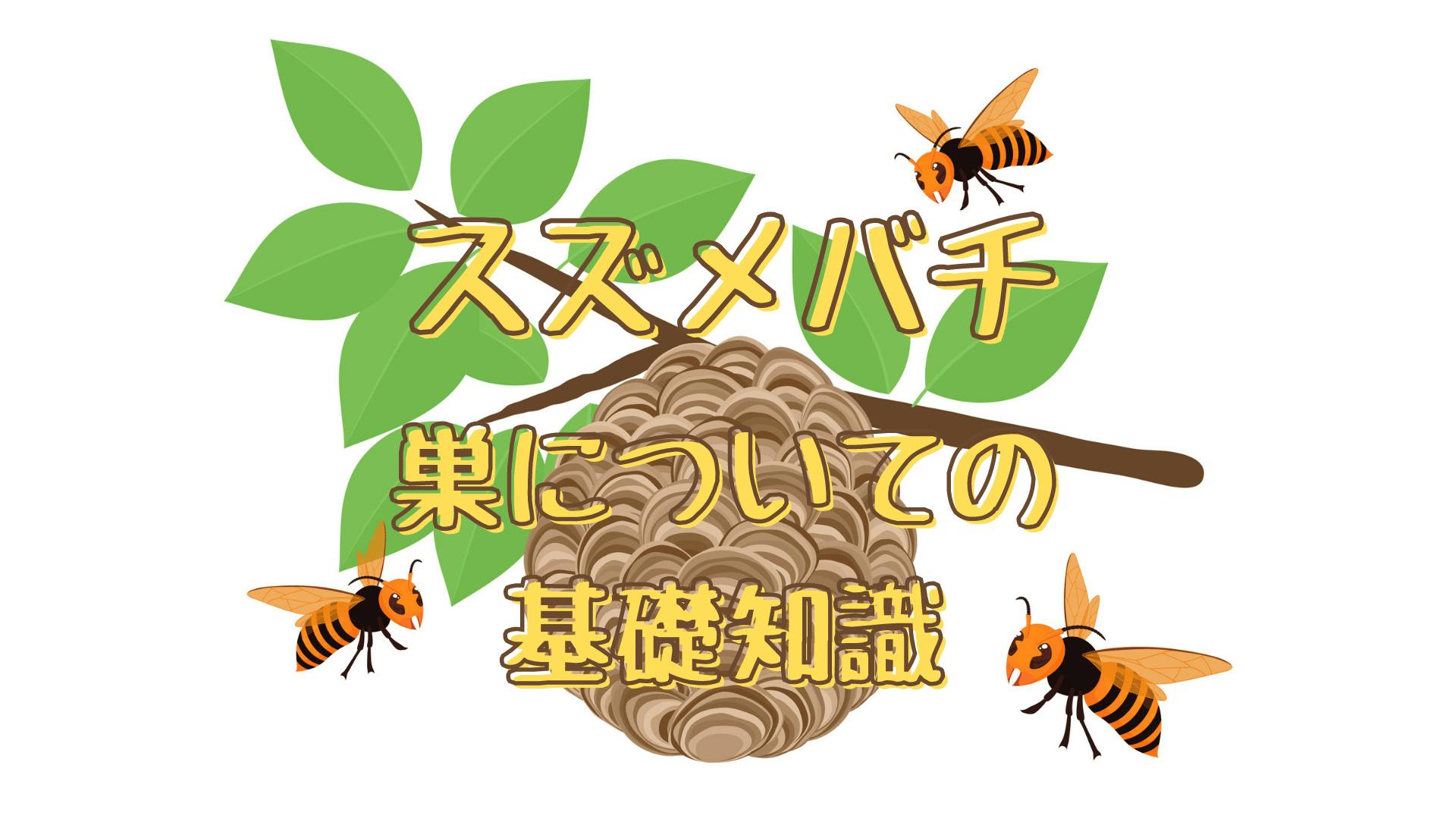 スズメバチの巣の基礎知識！見た目の特徴、巣を見つけたときの対処法は？