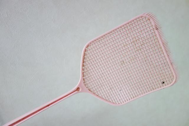 コバエ駆除に効果的な方法とは 発生原因と身近な対処法を徹底解説 ミツモア