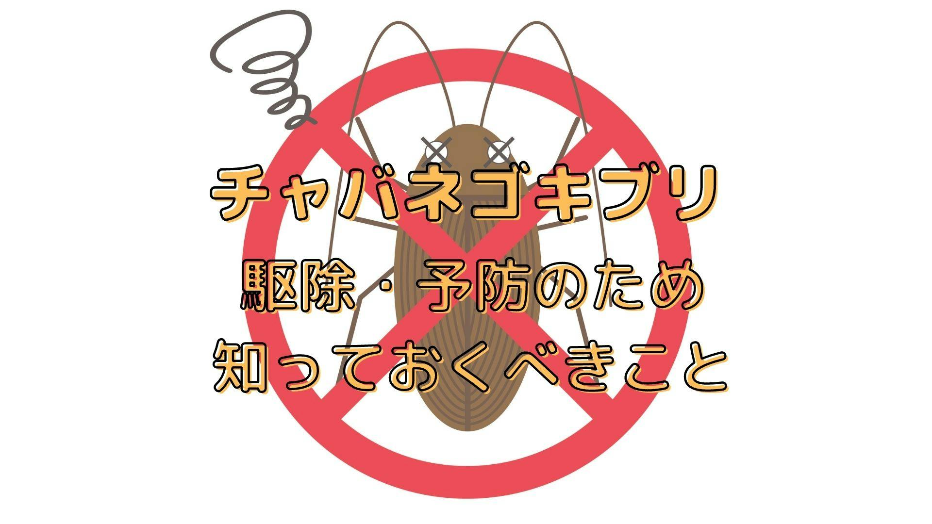 チャバネゴキブリを駆除するには おすすめの殺虫剤や注意点 生態を解説