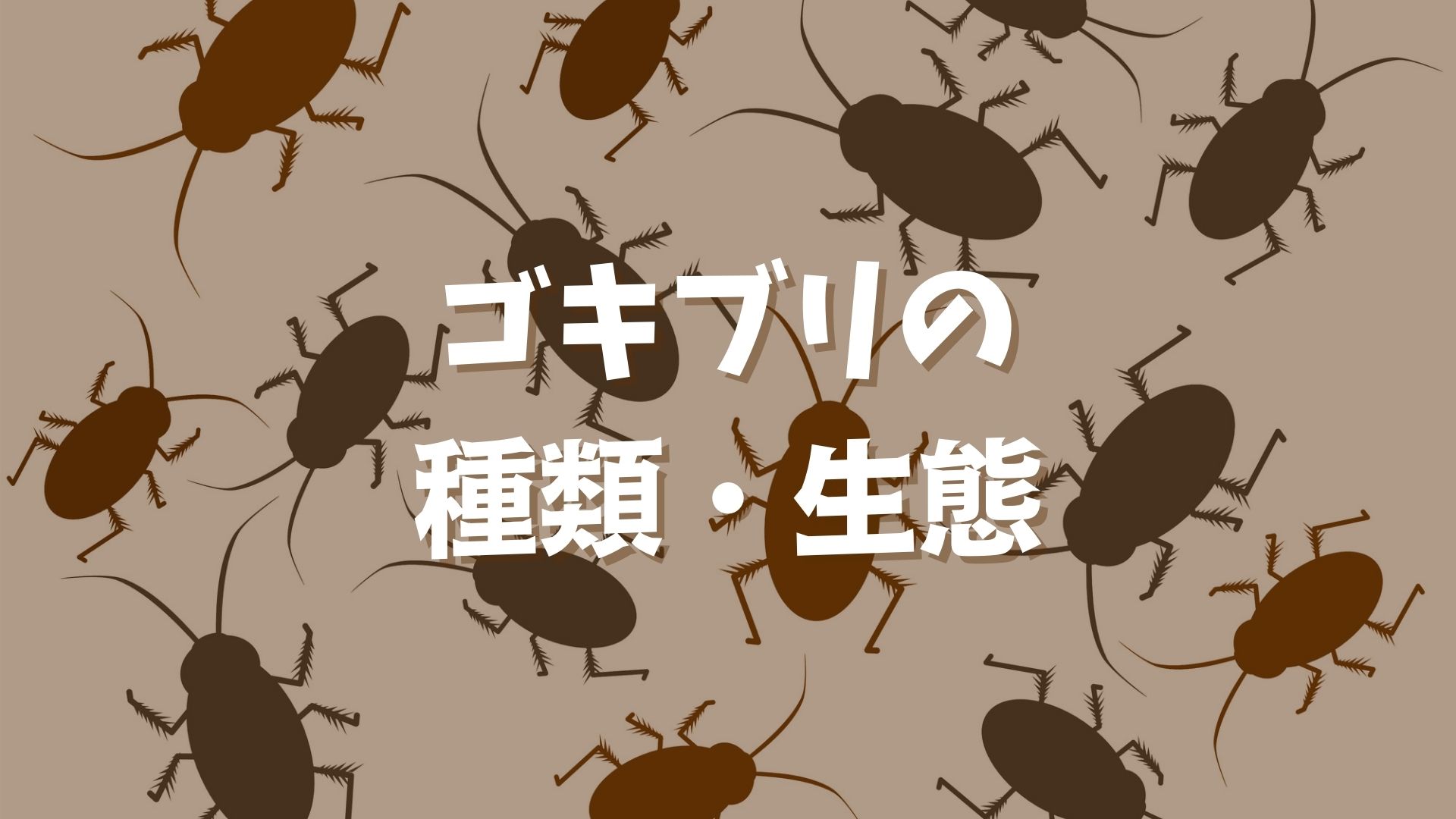 ゴキブリの種類と生態を紹介！繁殖時期や侵入経路から対策を練ろう