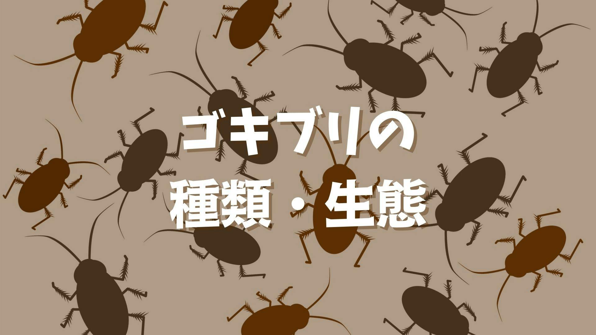 人気の贈り物が大集合 ゴキブリ対策 ゴキブリ駆除 強力 室内 屋外 プロが驚く利きめゴキファイタープロ 12個入