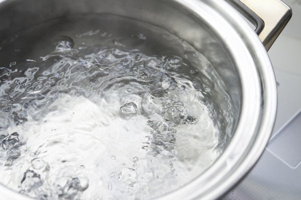 ナメクジの駆除方法とは 簡単に発生を予防する方法も紹介 ナメクジの駆除方法とは 簡単に発生を予防する方法も紹介