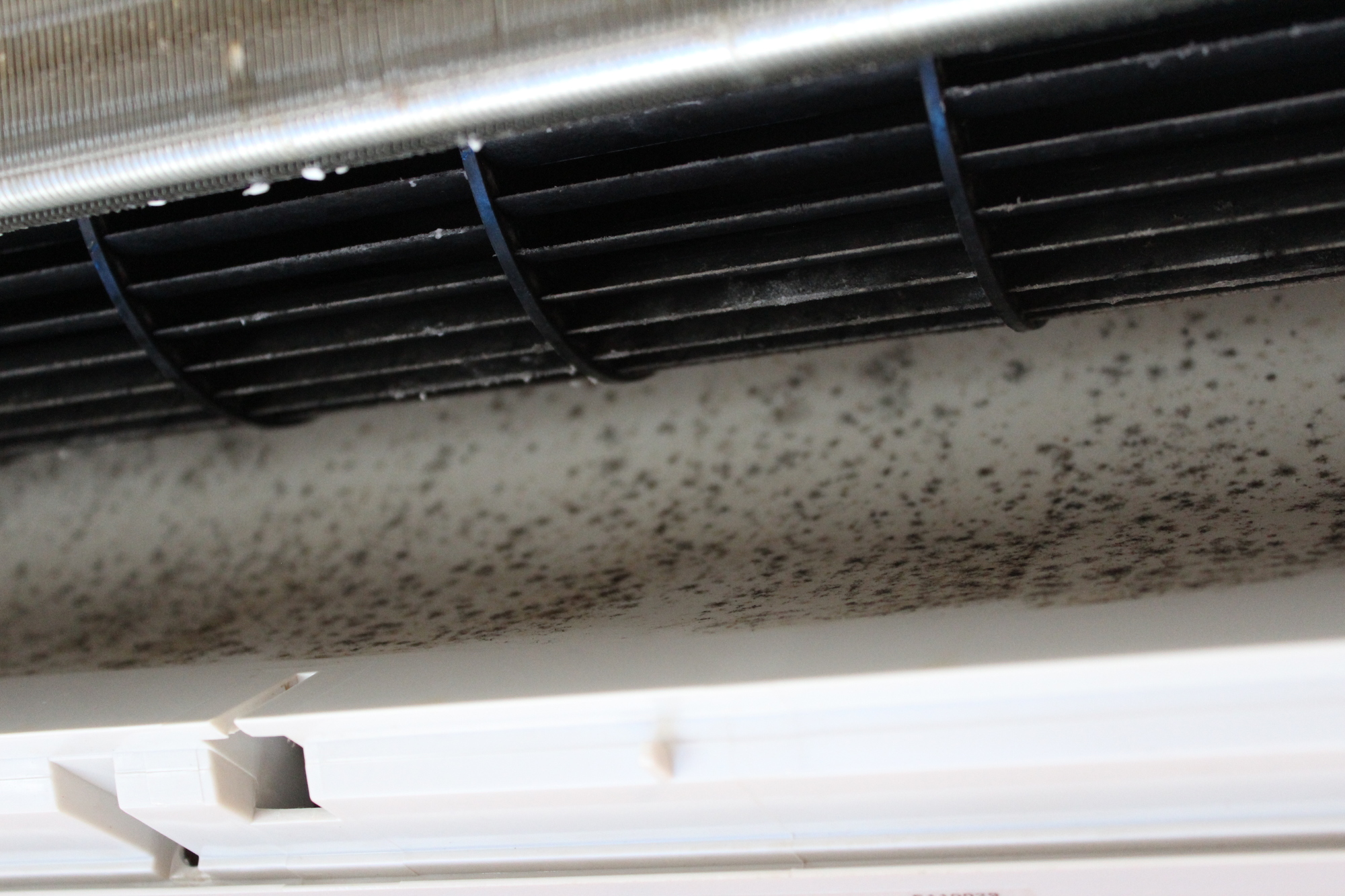 エアコンのシロッコファンを掃除したい 基礎知識と手順を解説 ミツモア