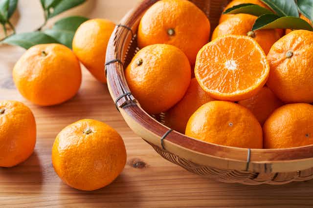 みかんの木を剪定しよう ベストな剪定時期と切る枝の選び方を解説 みかんの木を剪定しよう ベストな剪定時期と切る枝の選び方を解説