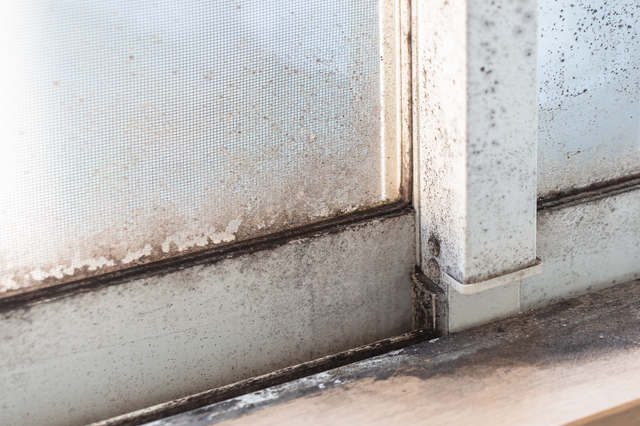 ペアガラスに結露が発生する原因とは 対策方法や交換費用を紹介 ミツモア